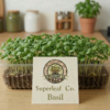 Basil Microgreens: The Gourmet Herb Reinvented