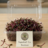 Beetroot Microgreens: The Natural Blood & Energy Booster