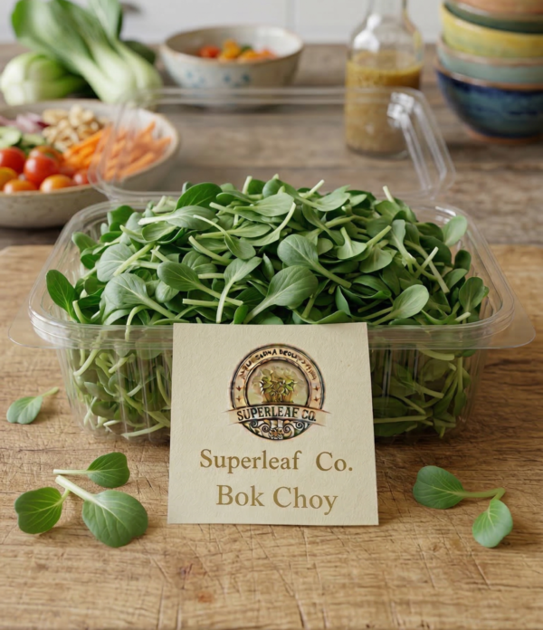 Bok Choy Microgreens: The Ancient Wellness Secret