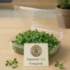 Fenugreek Microgreens: The Ancient Digestive Superfood