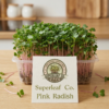 Pink Radish Microgreens: The Beauty of Wellness