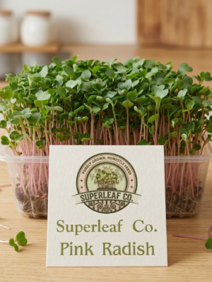 Pink Radish Microgreens: The Beauty of Wellness