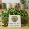 Sunflower Microgreens – Nutty, Crunchy & Protein-Rich