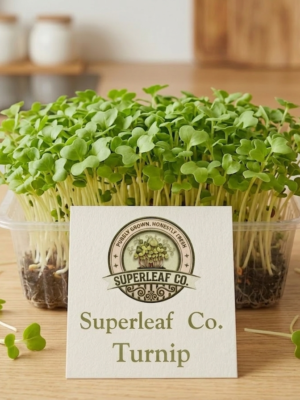 Turnip Microgreens: The Gentle Detoxifier