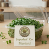 Spinach Microgreens: The Gentle Energy Booster